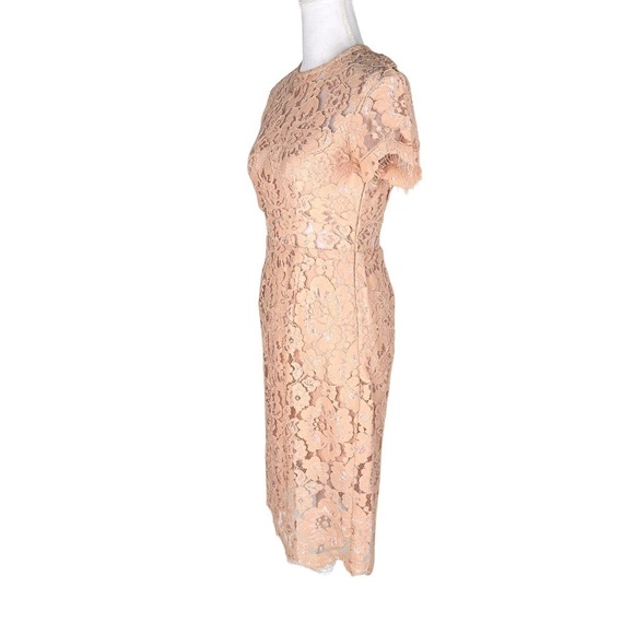 NSR x Revolve beige lace midi dress short sleeves sheer at waist sz small - Picture 10 of 15
